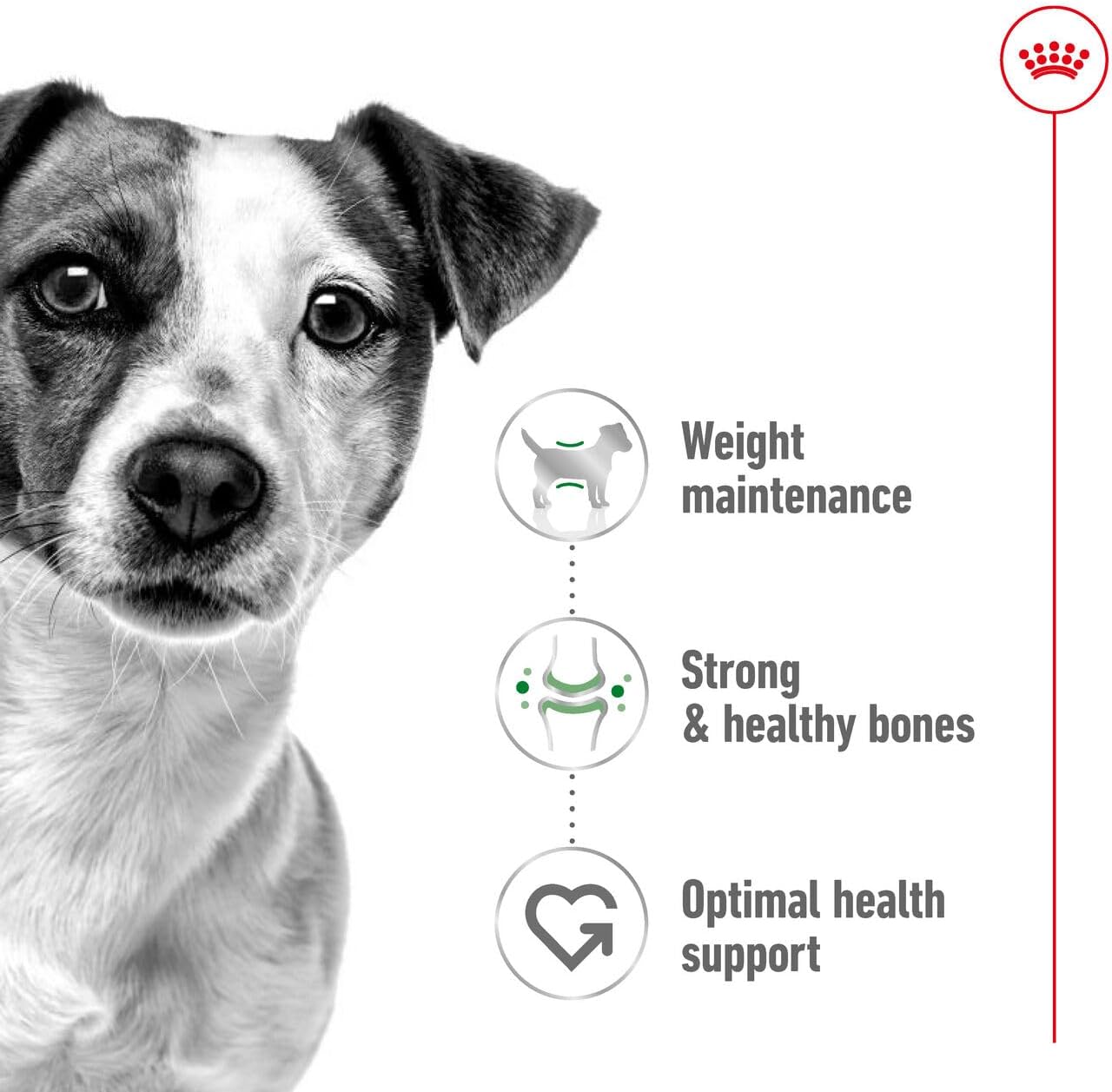 Royal Canin Size Health Nutrition Mini Adult Dog Dry Food 4kg